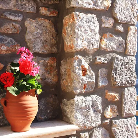 فيلة Petra Boutique Homes Arginonda