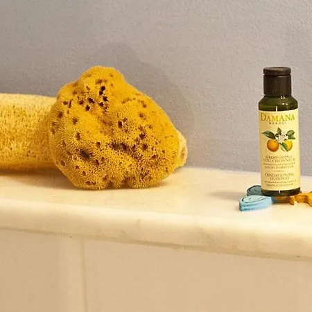 Petra Boutique Homes Villa Arginonda